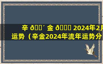 辛 🌴 金 🕊 2024年2月运势（辛金2024年流年运势分析详解）